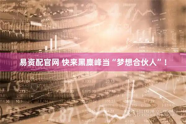 易资配官网 快来黑麋峰当“梦想合伙人”！