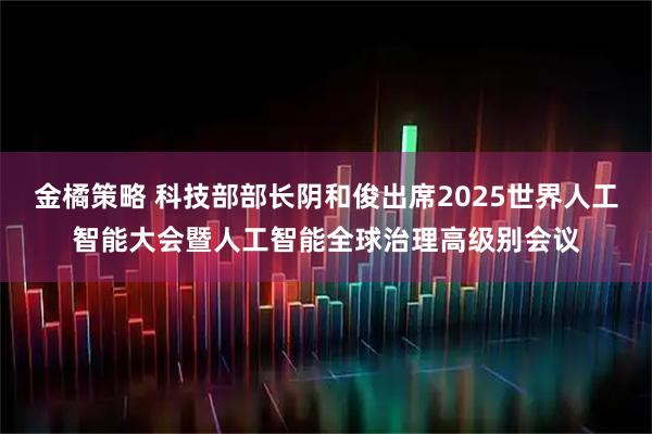 金橘策略 科技部部长阴和俊出席2025世界人工智能大会暨人工智能全球治理高级别会议