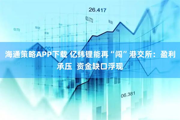海通策略APP下载 亿纬锂能再“闯”港交所：盈利承压  资金缺口浮现